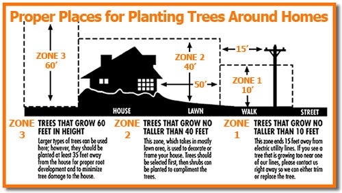 Tree planting chart